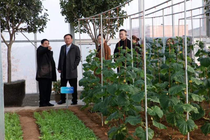 1704333743981256.jpg 640 (6).jpg